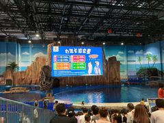 -华夏文旅海洋公园