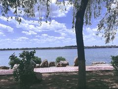 -丁香湖公园