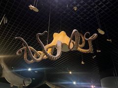 -天津自然博物馆
