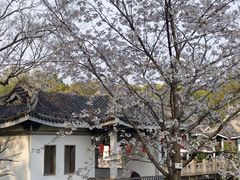 -无锡梅园公园