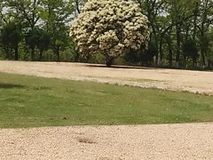 -汉长安城未央宫国家考古遗址公园