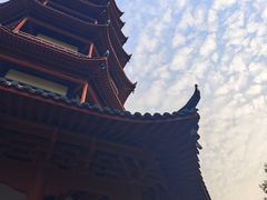 -绳金塔