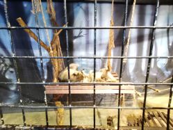 -酷嗒动物文化乐园(cutezoo西溪乐天城店)