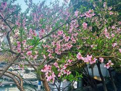 -西湖文化广场