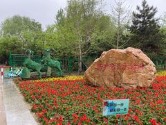 -长白岛森林公园