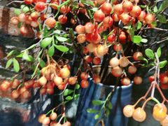 -湘邻呷铺·田园家宴(汉基广场店)