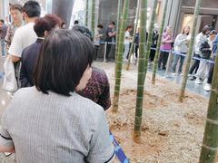 -老乡鸡(融科天地店)
