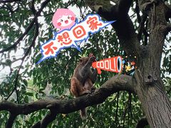 -黔灵山公园