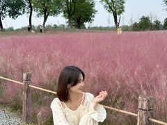 -汉长安城未央宫国家考古遗址公园