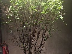 -森SPA·泰式按摩·精油Massage(宝安中心店)
