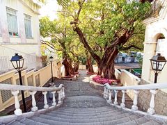 -龙环葡韵住宅式博物馆