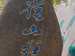 -西双版纳原始森林公园