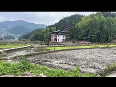 -紫鹊界梯田景区