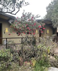 -尚圣月子会所·庄园式月子中心(萧山湘湖店)