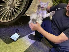 -瑞派申生动物医院·24H夜诊·国际动物医疗中心·骨外科(吴中路店)