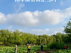 -南翠屏公园