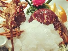 刺身澳洲龙虾（斤）-老江南春·中国龙菜(衡山路店)