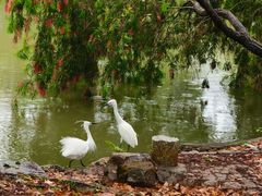 -人民公园(罗湖区)