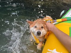 -安吉龙王山峡谷漂流