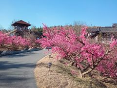 -威海华夏城景区