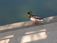 -水上乐园·欢乐世界