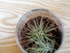 -ZING COFFEE 镜咖啡