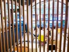 -VESH COFFEE(定西路店)