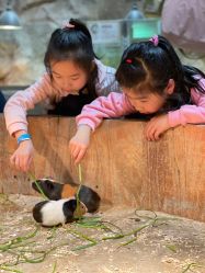 -宝燕乐园(闵行旗舰店)