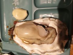 -那些年记忆烧烤