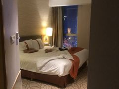 -天津水游城丽筠酒店