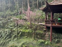 -青城山