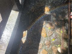 -将军关探险漂流