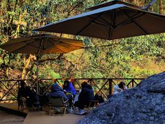 -宁波五龙潭景区