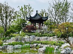 -上海滨江森林公园