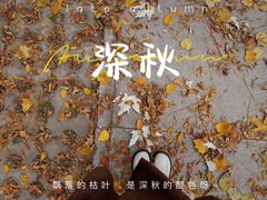 -森林公园(尖草坪区)