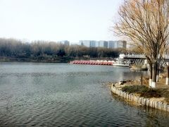 -大兴滨河森林公园