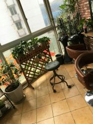 点击看大图 -HD HAIR STYLE