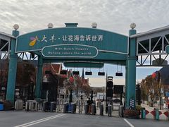 -荷兰花海