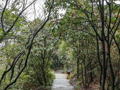 -杭州半山国家森林公园