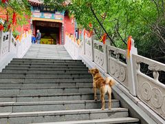 -辛安庄鸡鸣山景区