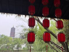 -长兴太湖图影湿地文化园
