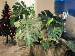 -漪龙台·B26 Rooftop Lounge