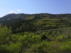 -阳台山自然风景区