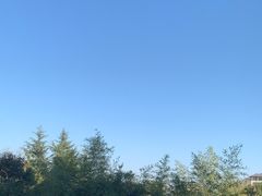 -悦椿温泉酒店·悦椿苑火锅餐厅