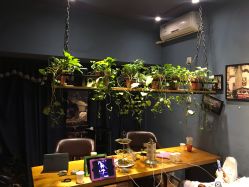点击看大图 大厅-藤野造型