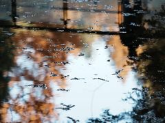 -山王坪喀斯特国家生态公园