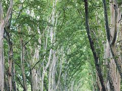 -钟山体育运动公园