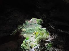 -岭南和园