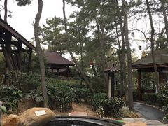 -威海天沐度假区温泉