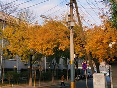 -知春路(地铁站)